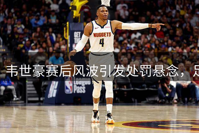 韦世豪赛后风波引发处罚悬念，足协面临六连质问
